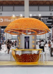 casca de laranja